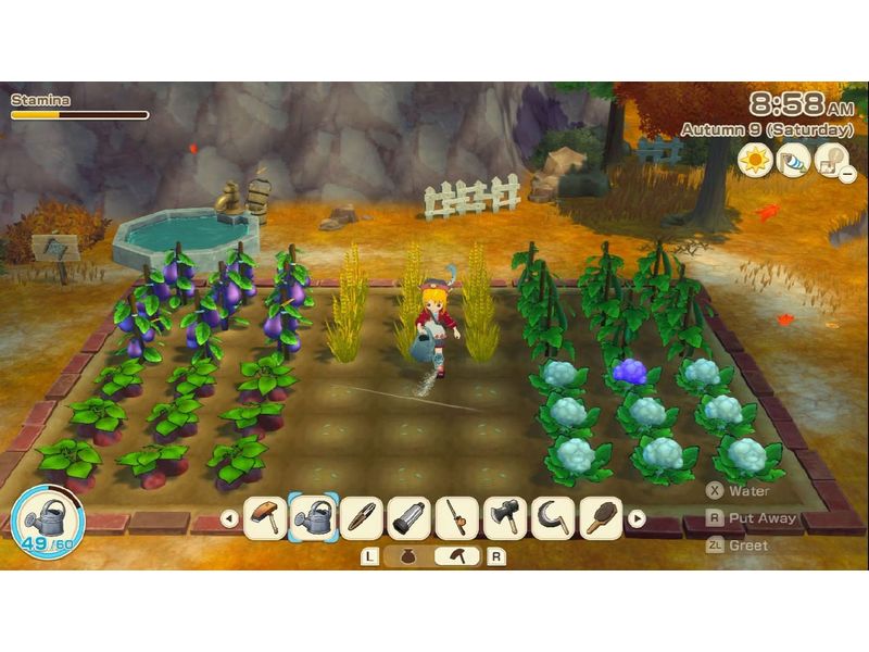 Marvelous Games Story of Seasons: Grand Bazaar [NSW2] (D) (Box)