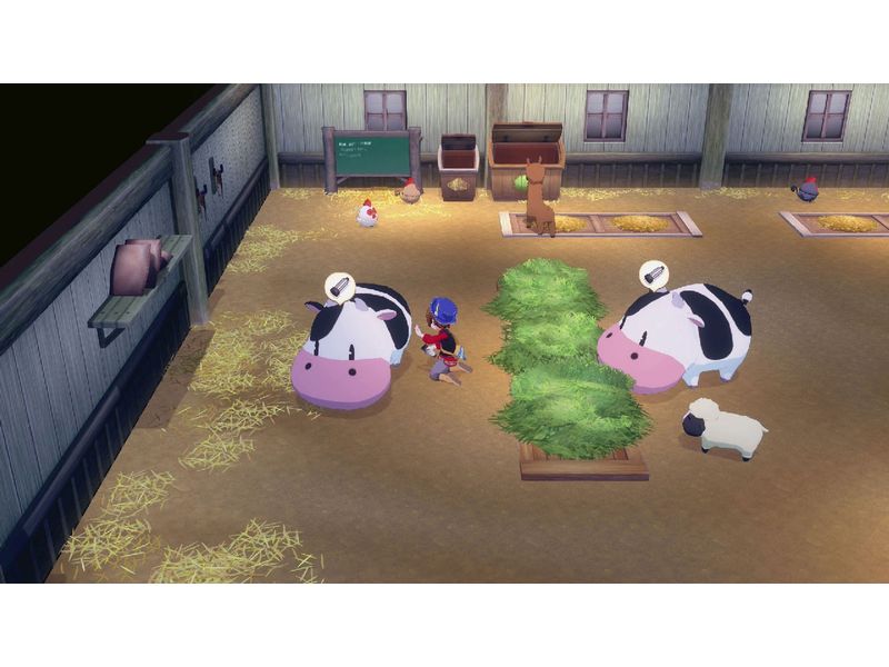 Marvelous Games Story of Seasons: Grand Bazaar [NSW] (D) (Box)