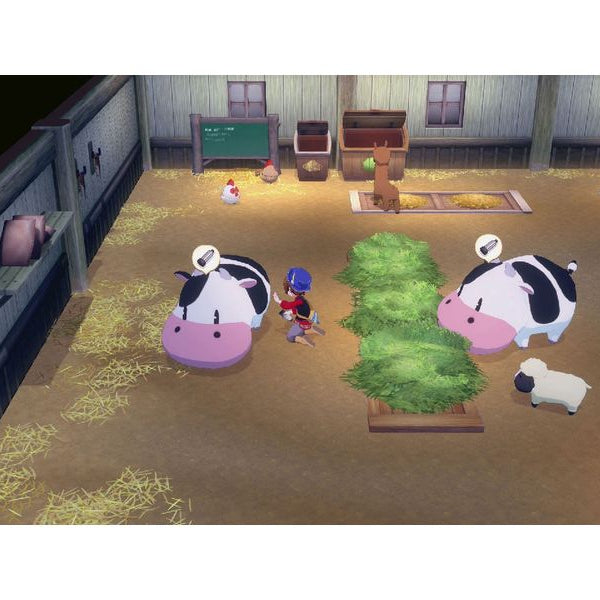 Marvelous Games Story of Seasons: Grand Bazaar [NSW2] (D) (Box)