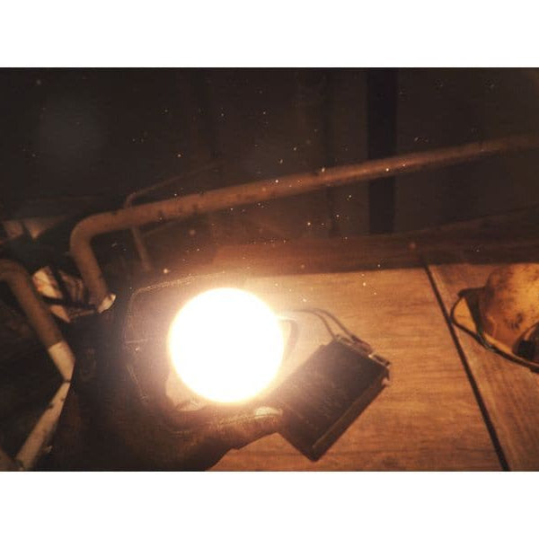 Flashpoint Still Wakes the Deep [PS5] (D) (Box)