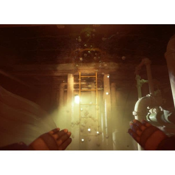 Flashpoint Still Wakes the Deep [PS5] (D) (Box)