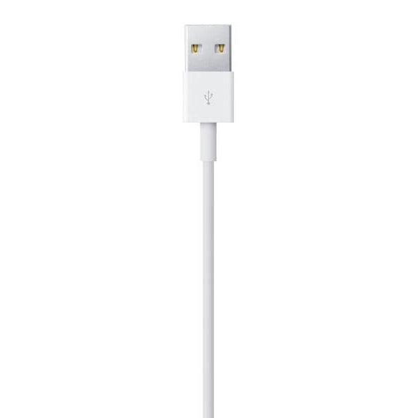 Apple USB 2.0-Kabel USB A - Lightning 1 m
