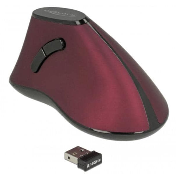 Delock Ergonomische Maus 12528 USB  kabellos
