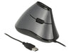 Delock Ergonomische Maus 12527 USB