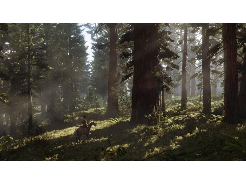 GAME Red Dead Redemption 2