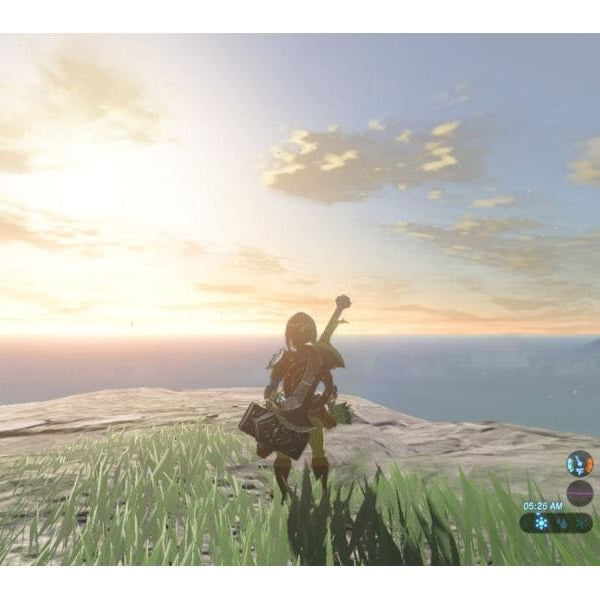 Nintendo The Legend of Zelda: Breath of the Wild