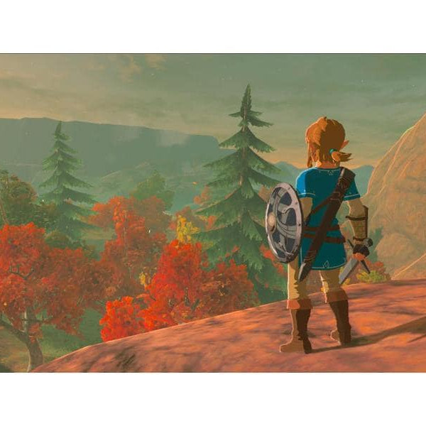 Nintendo The Legend of Zelda: Breath of the Wild