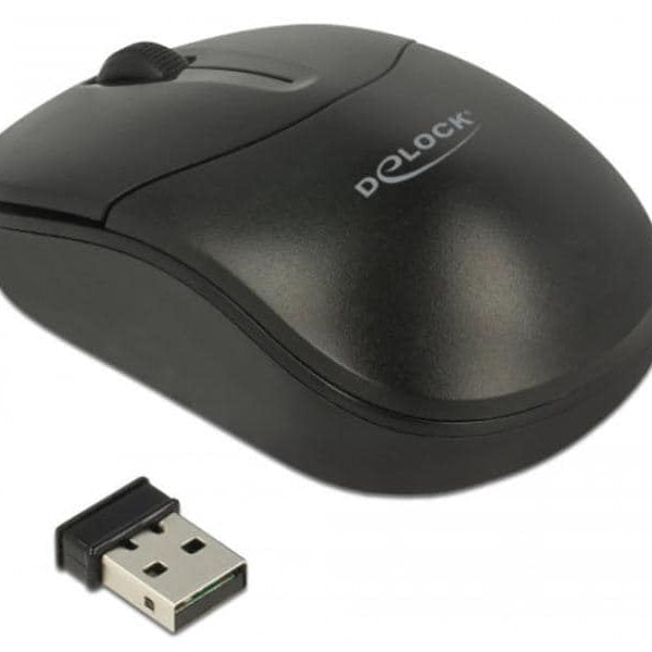 Delock Mobile Maus 12494 USB kabellos