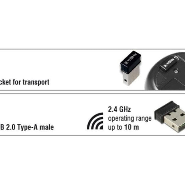 Delock Mobile Maus 12494 USB kabellos