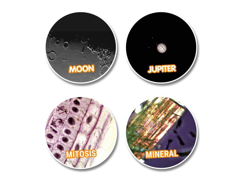 National Geographic Tele-/Mikroskop Set