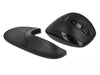 Delock Ergonomische Maus 12673 Wireless für Rechtshänder