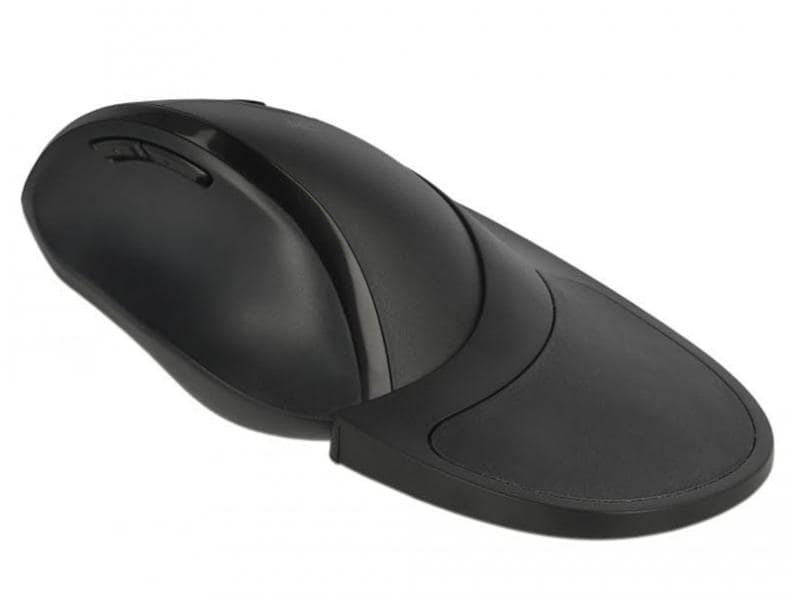 Delock Ergonomische Maus 12673 Wireless für Rechtshänder