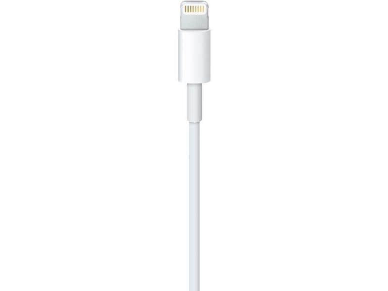 Apple USB 2.0-Kabel  USB A - Lightning 0.5 m