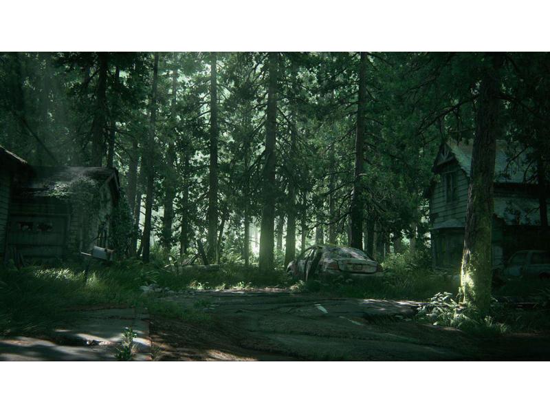 Sony The Last of Us Part II