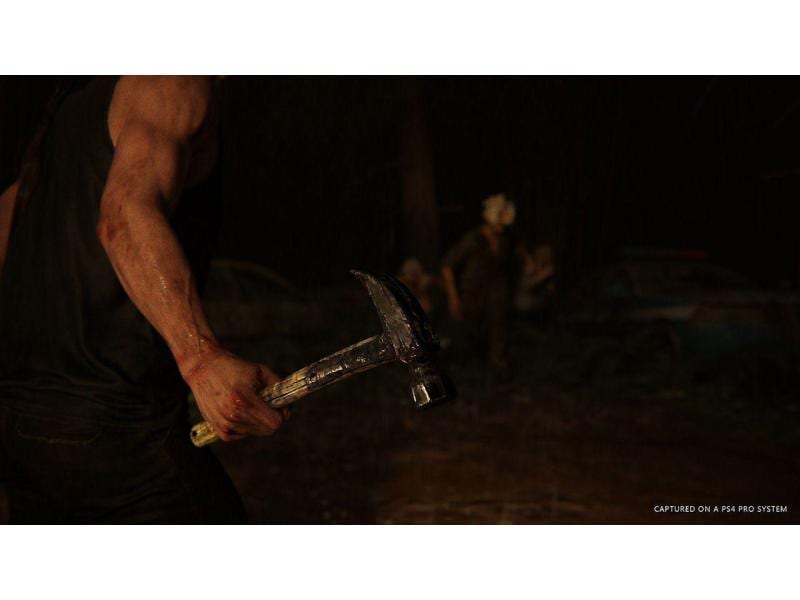 Sony The Last of Us Part II