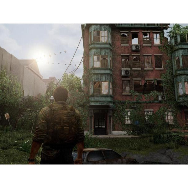 Sony The Last of Us Remastered (PlayStation Hits)