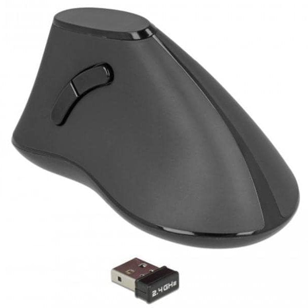 Delock Ergonomische Maus 12622 Silent USB kabellos