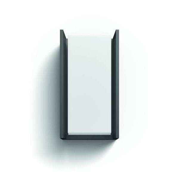 Philips Hue White Outdoor Turaco Wandleuchte Anthrazit