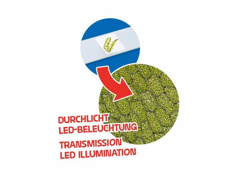 Bresser junior Mikroskop 40x-640