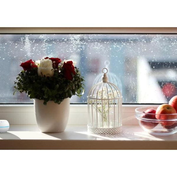 Shelly WLAN-Luftfeuchte- und Temperatursensor Shelly H&T WiFi black