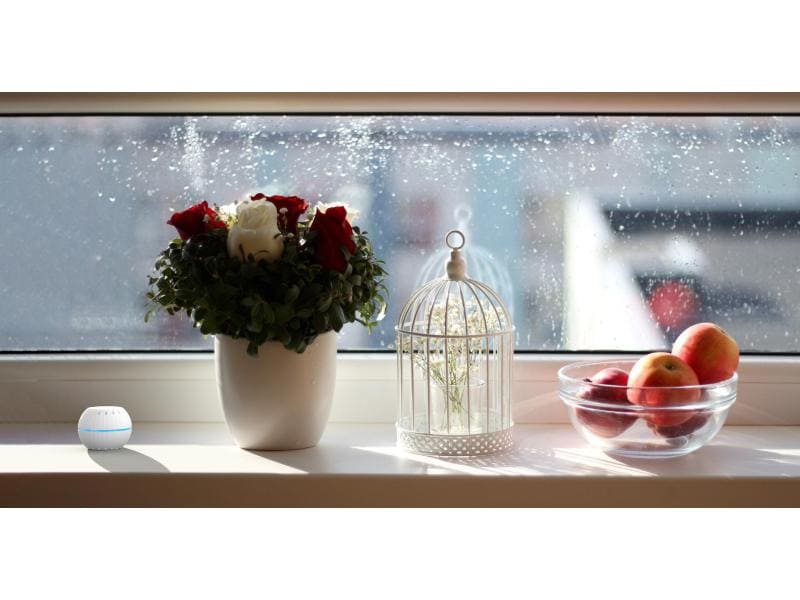 Shelly WLAN-Luftfeuchte- und Temperatursensor Shelly H&T WiFi black