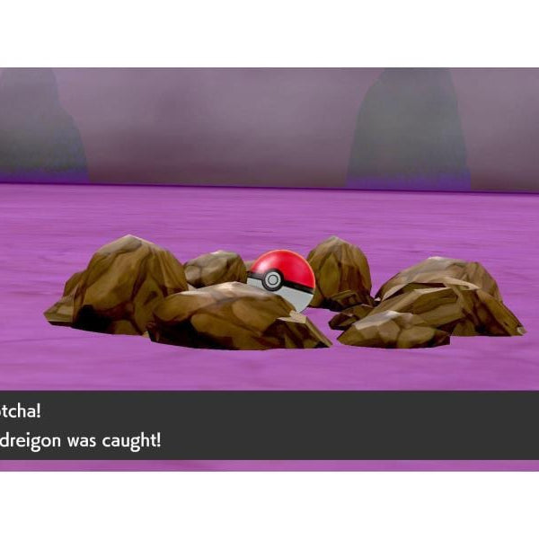 Nintendo Pokemon Schwert