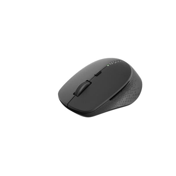 Rapoo Maus M300 Silent Dark Grey