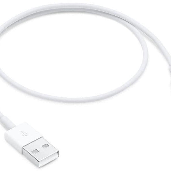 Apple USB 2.0-Kabel  USB A - Lightning 0.5 m