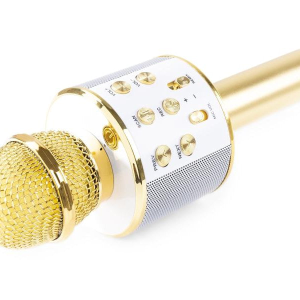 MAX Mikrofon KM01G Gold