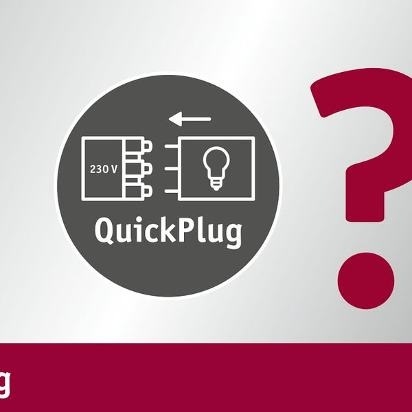 Paulmann LED Aussenwandleuchte Azalena, Smart Home Zigbee 3.0