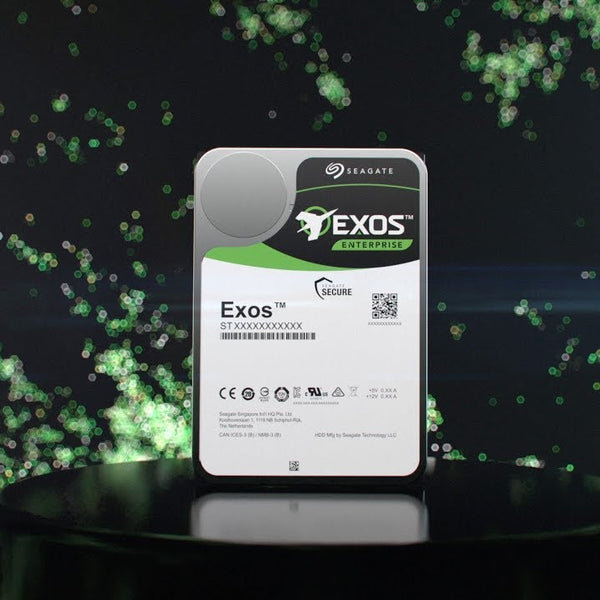 Seagate Harddisk Exos X24 3.5