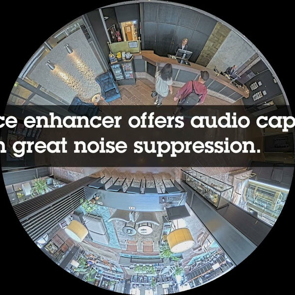 Axis Netzwerkkamera M4308-PLE