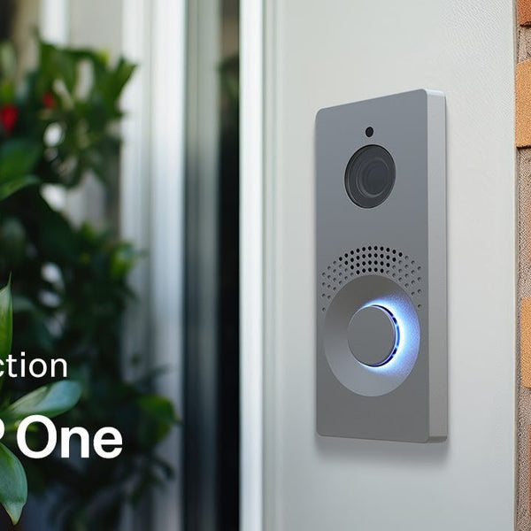 2N IP Türstation IP One Grau