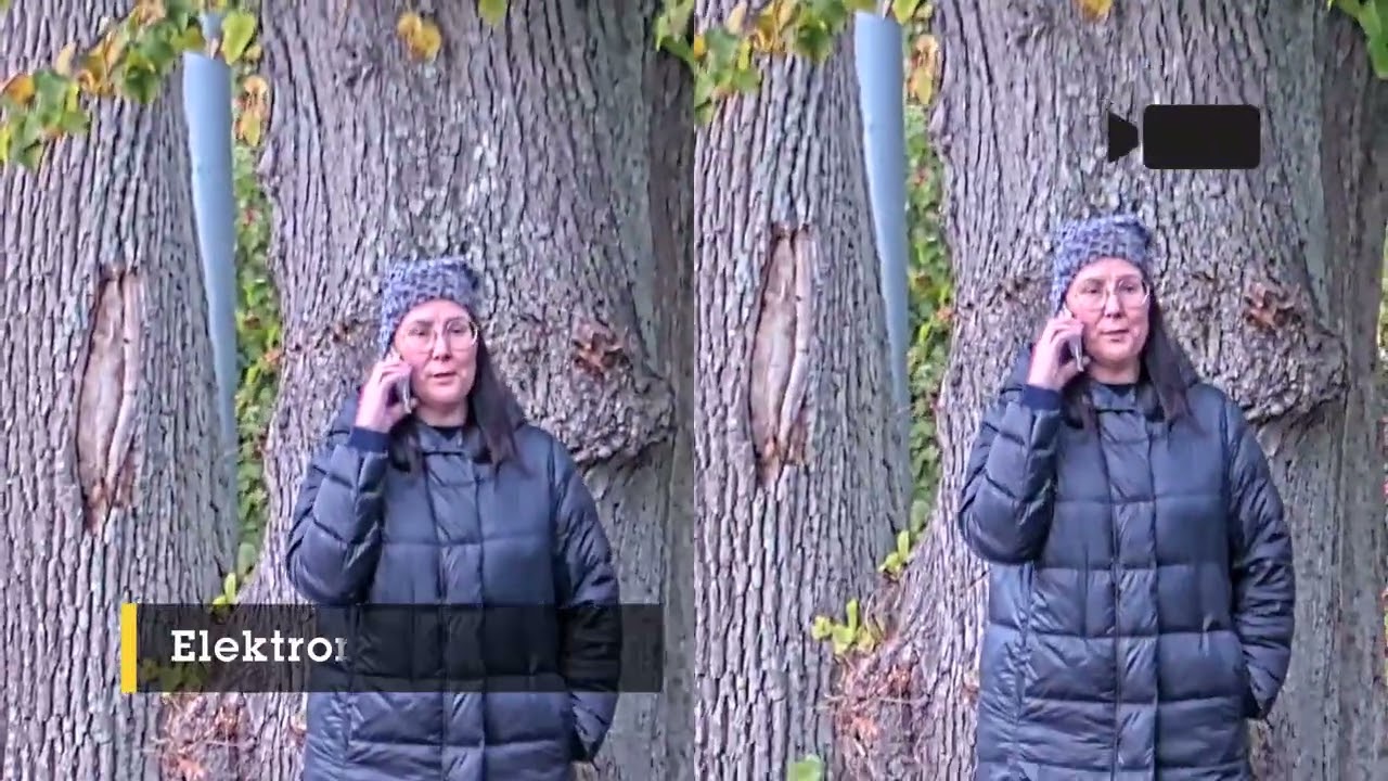 Axis Netzwerkkamera P5676-LE 50 Hz