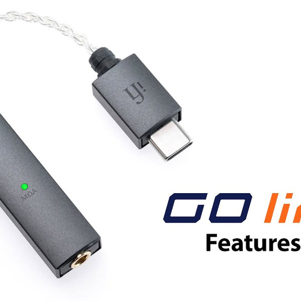 iFi Audio Kopfhörerverstärker & USB-DAC GO-Link