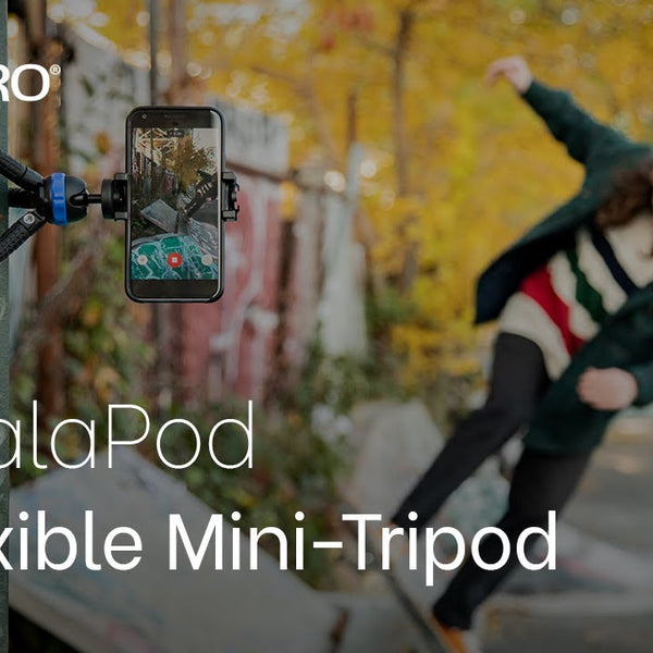 Benro Tischstativ KoalaPod Kit