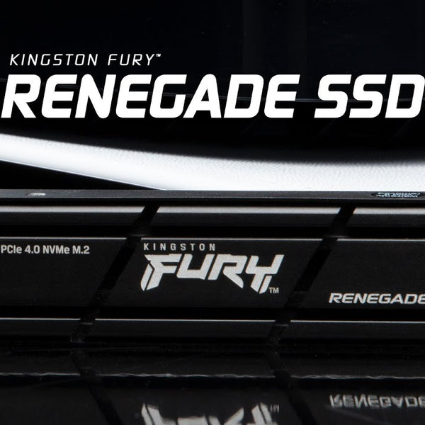Kingston SSD FURY Renegade M.2 2280 NVMe 1000 GB  Heatsink