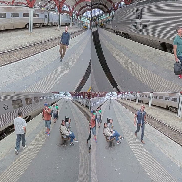 Axis Netzwerkkamera P3738-PLE Panoramic