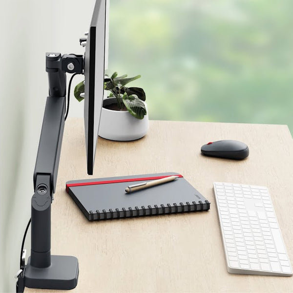 Leitz Ergo Single Monitorarm