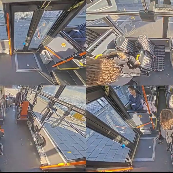 Axis Netzwerkkamera M4317-PLR