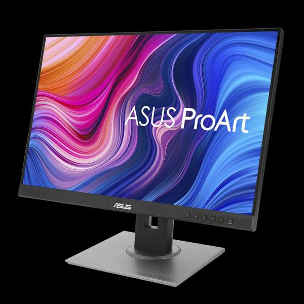 ASUS Monitor PA248QV
