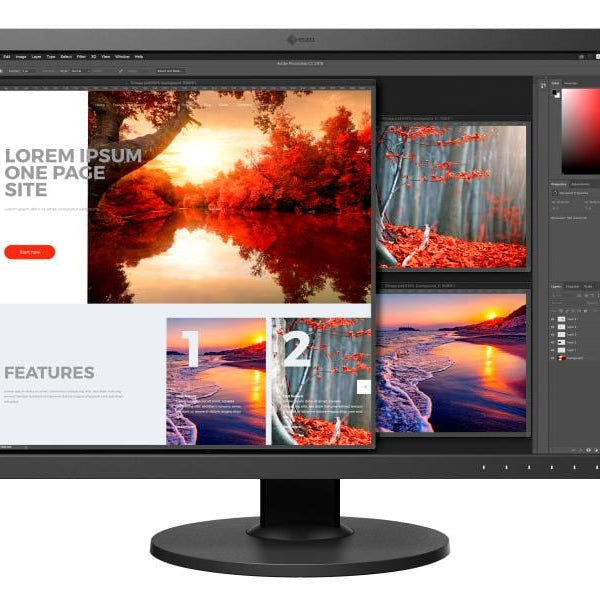EIZO Monitor CS2740-Swiss Edition