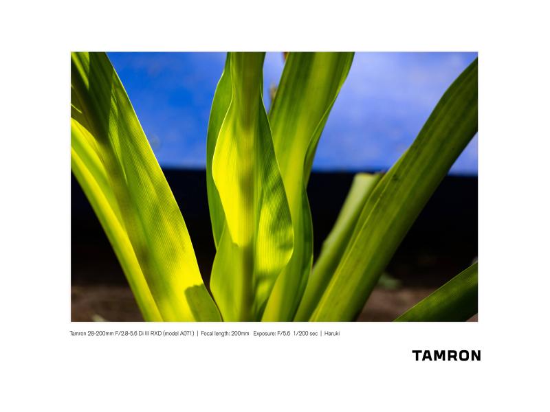 Tamron Zoomobjektiv AF 28-200mm F/2.8-5.6 Di III RXD Sony E-Mount