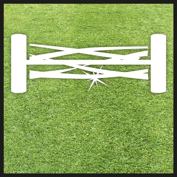 Einhell Akku-Spindelmäher GE-HM 18/38 Li Solo