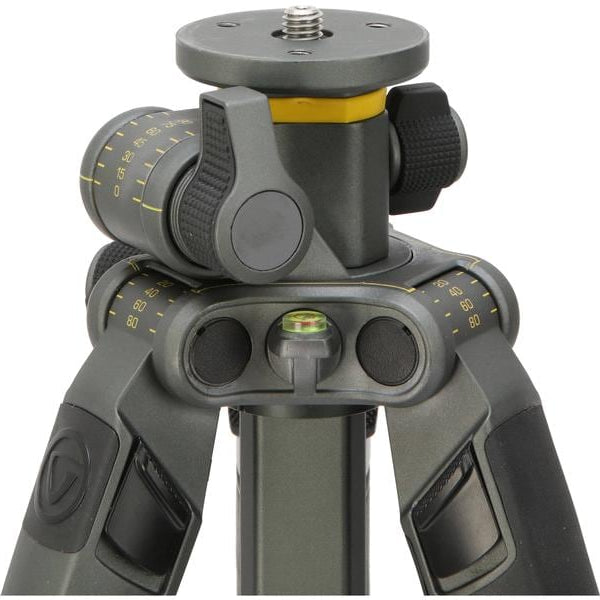 Vanguard Stativ Alta Pro2+ 263AP