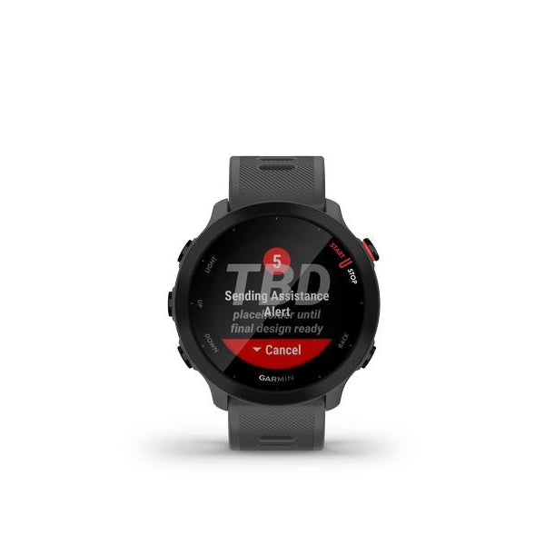 GARMIN Sportuhr Forerunner 55 Grau/Schwarz