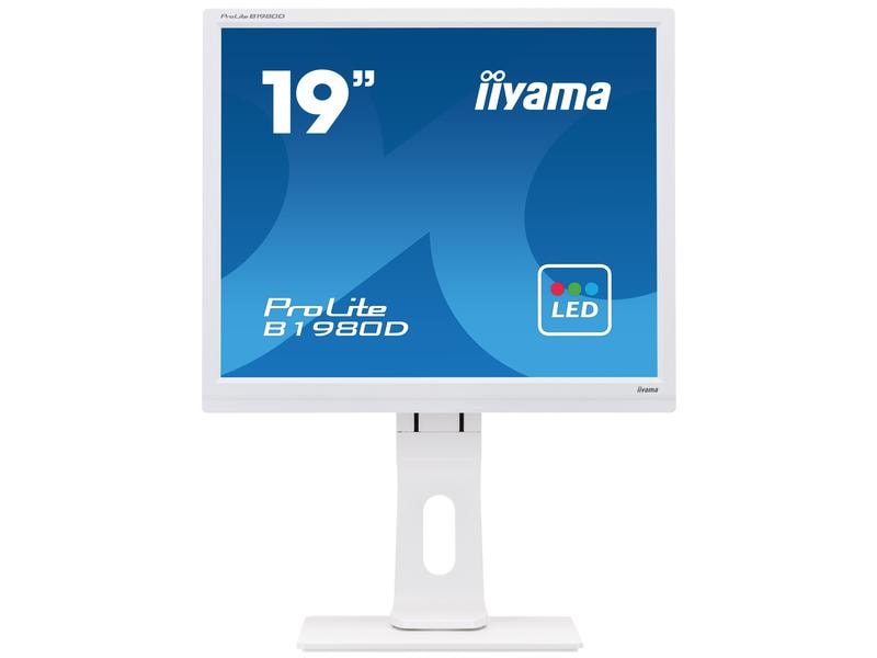 iiyama Monitor ProLite B1980D-W1