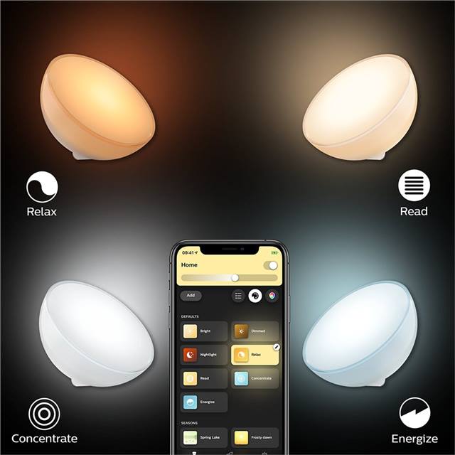 Philips Hue Go