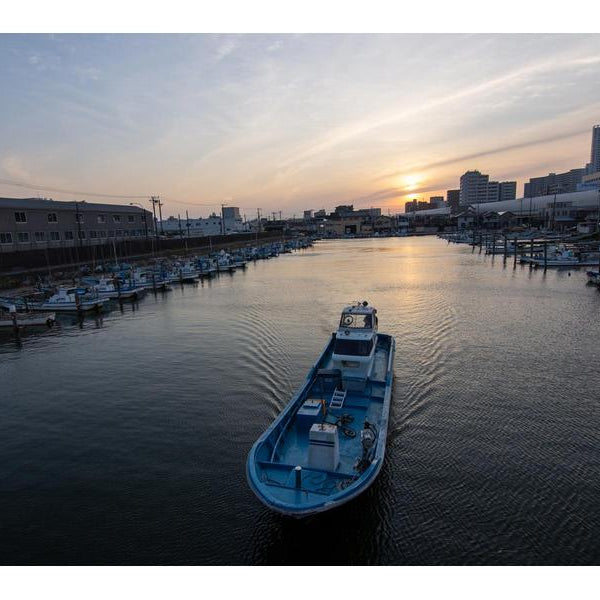 Tokina Zoomobjektiv atx-i 11-20mm F/2.8 CF Plus – Canon EF-S