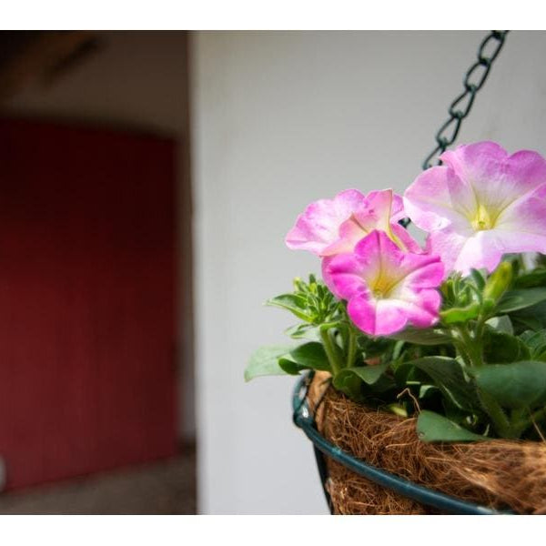 Tokina Zoomobjektiv atx-i 11-20 mm F/2.8 CF Plus – Nikon F